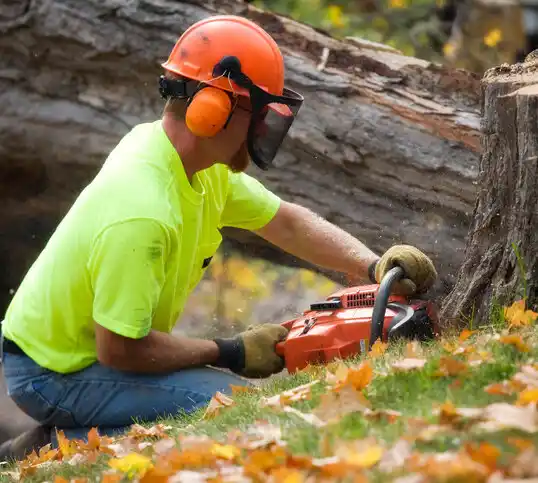 tree services Incline Village